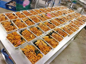 莎家邦速食食品批發 河北優質初級農產品在線咨詢服務