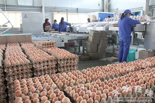 挖掘潛力，轉型升級 加快天水農村第二產業發展的調查與思考